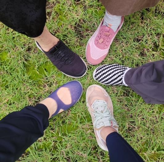 광명시, 2025년 걷기동아리 활동 시민 참여 속 성황리 종료  기사 이미지